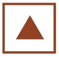 Non-vegetarian symbol